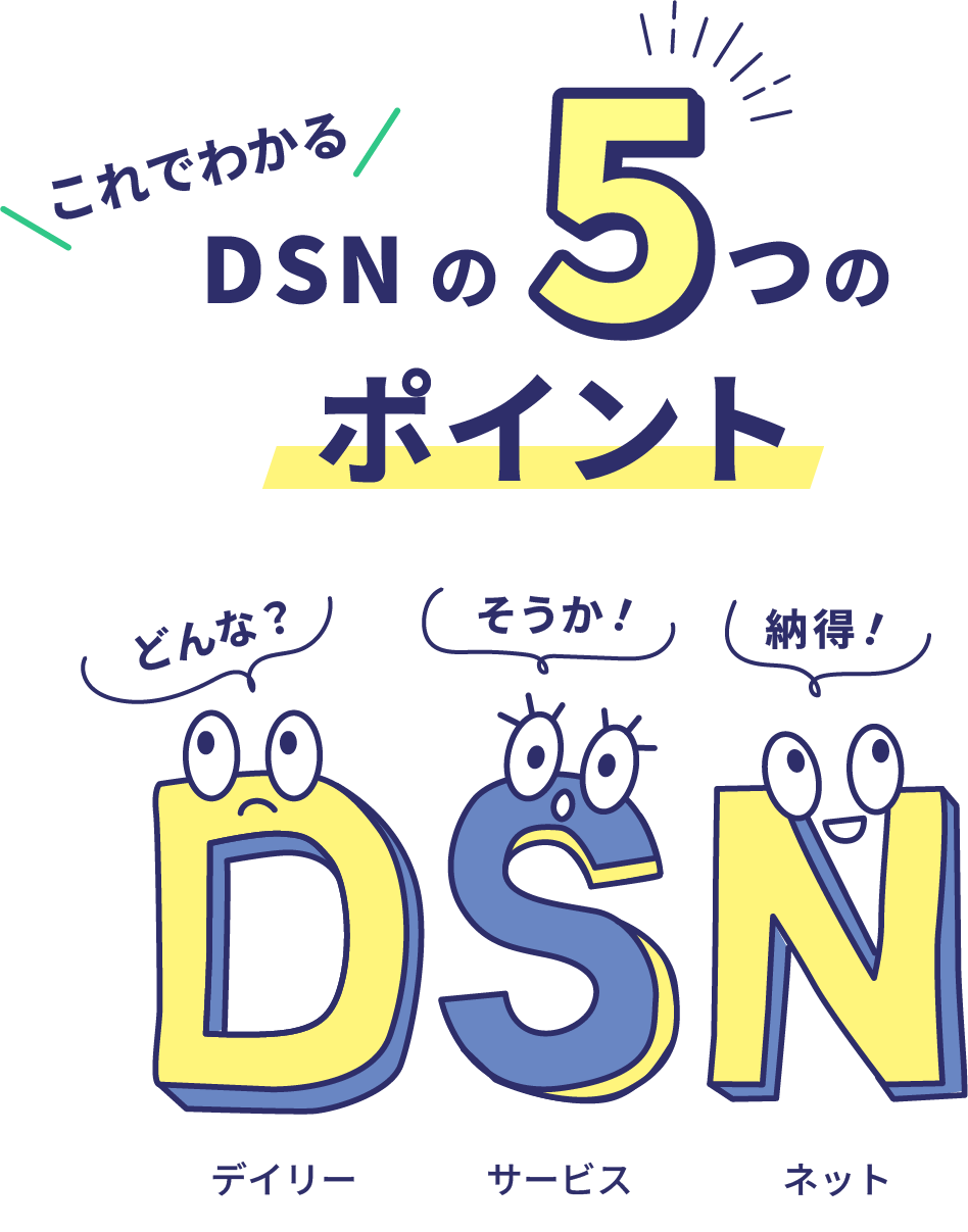 이것으로 알 수 있는 DSN의 5가지 포인트