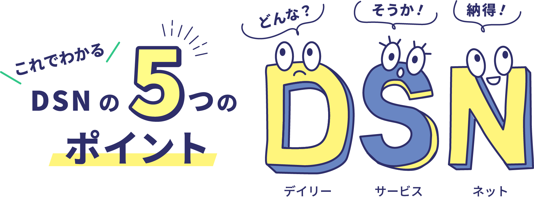 이것으로 알 수 있는 DSN의 5가지 포인트